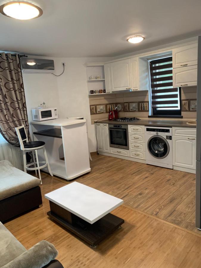 Apartament Micsunelelor Cu Parcare Privata Iasi Eksteriør bilde