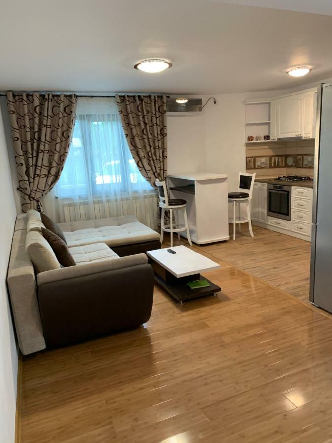 Apartament Micsunelelor Cu Parcare Privata Iasi Eksteriør bilde